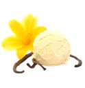 Bourbon Vanille